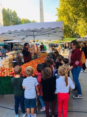 92359220_798539107319927_5064269507208413184_n