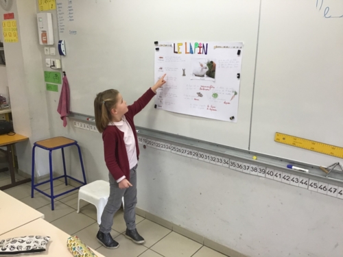 FenjQEAxkdAD77kMhwu9qvt0tqc