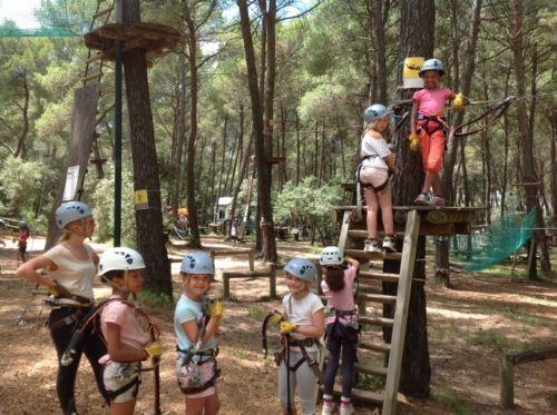 Gxv0Jzruu1fuv2JqV5gpGNMyvm0